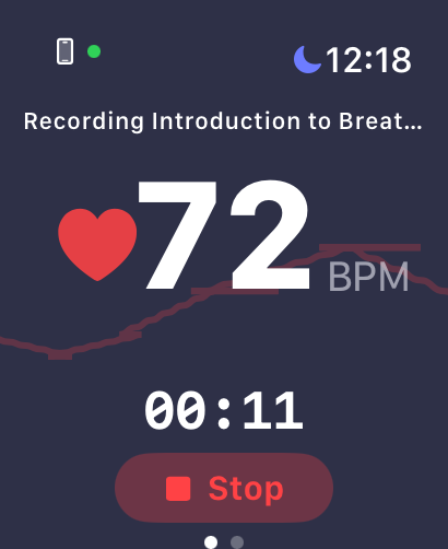 Pausality Apple Watch Interface